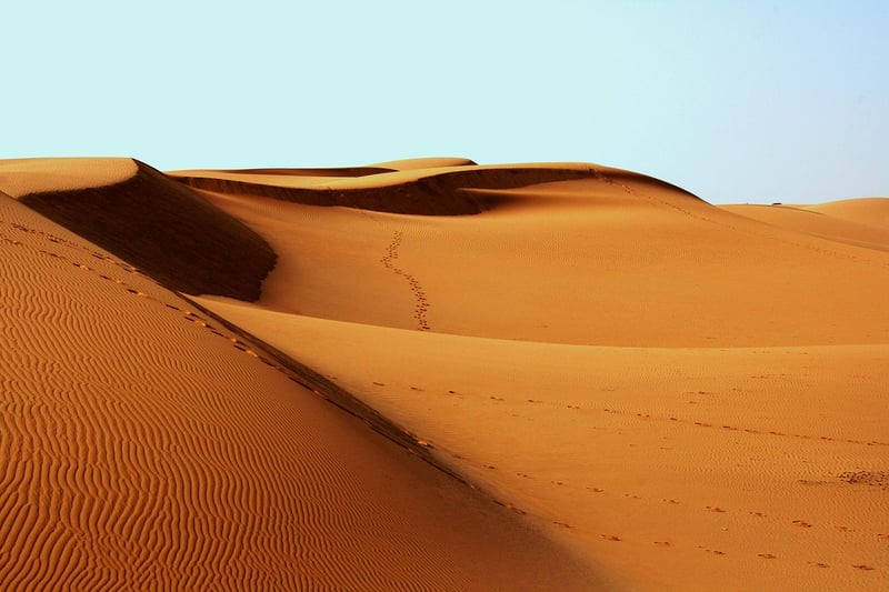 Camel trek in the desert