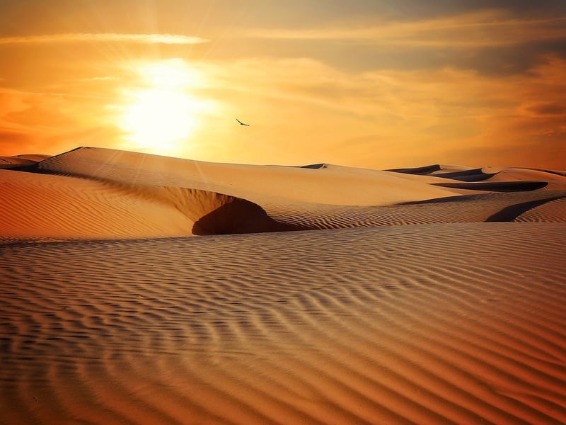 Arid Landscape